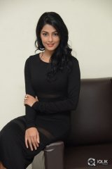 Anisha Ambrose at Run Movie Release Press Meet